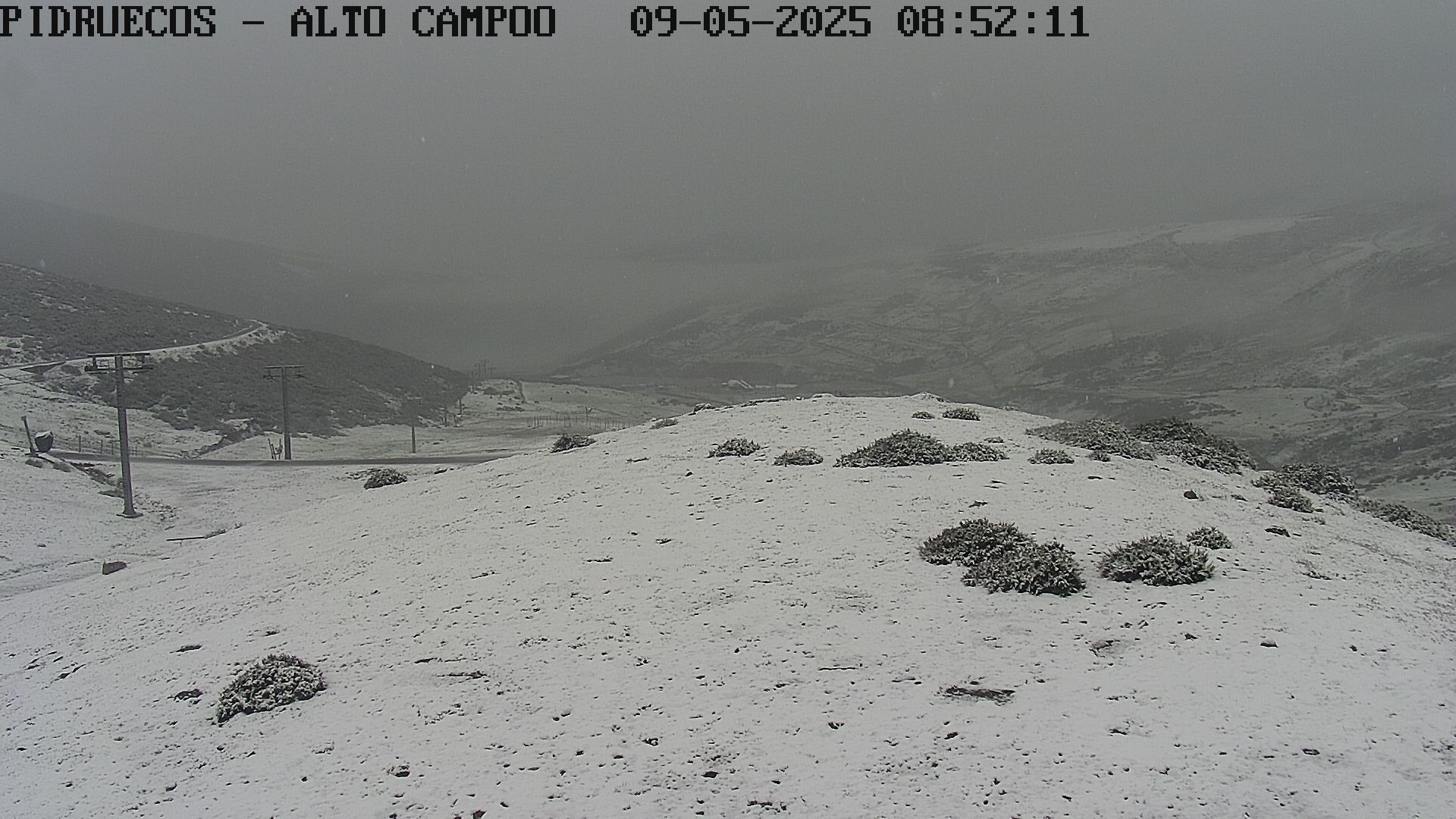 Webcam en Pidruecos