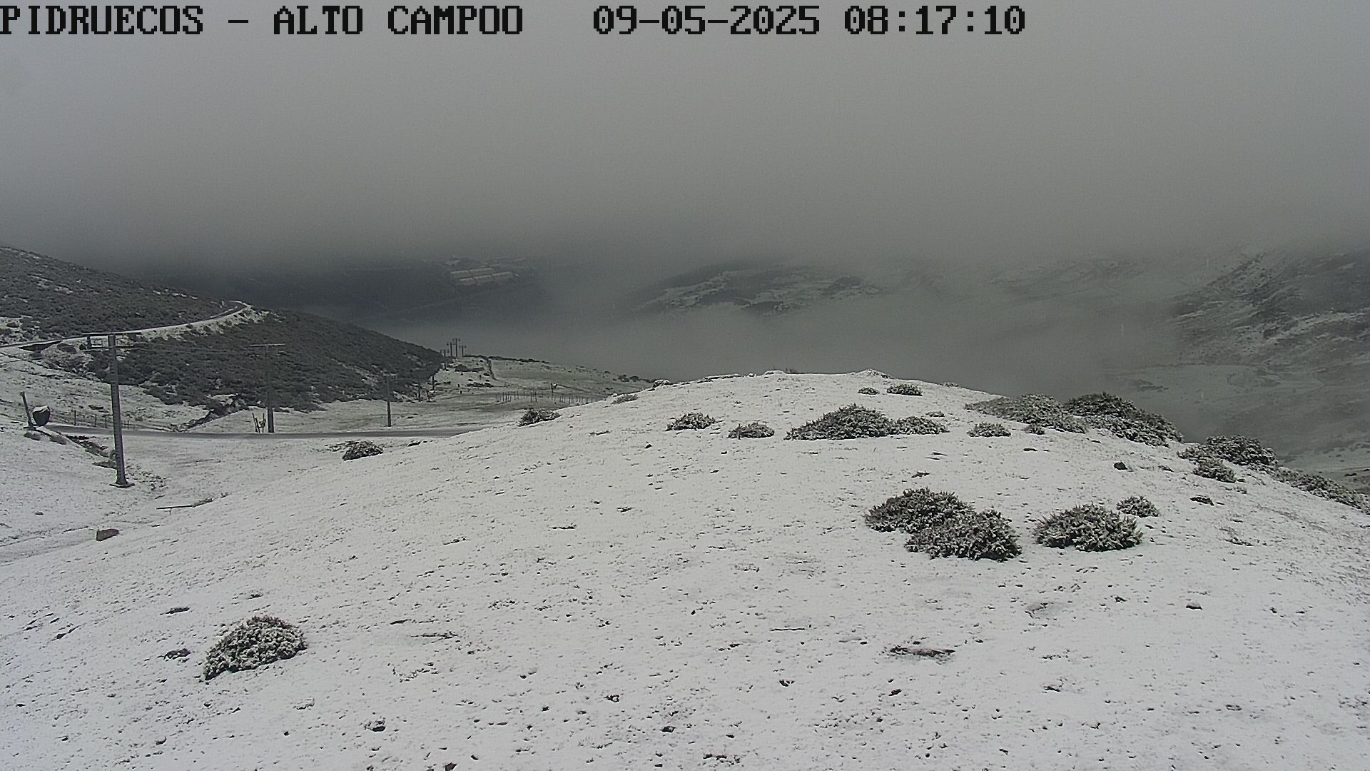 Webcam en Pidruecos