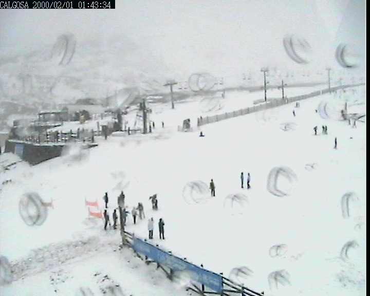 Webcam en Calgosa (1.650 m.)