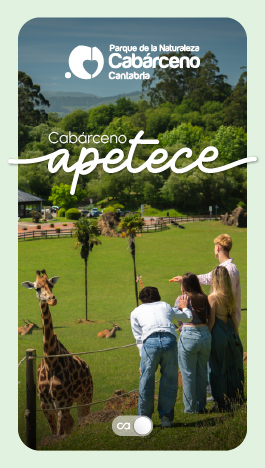 Cabárceno apetece miniatura