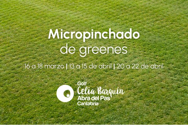 Micropinchado de greenes experimental en Celia Barquín Abra del Pas