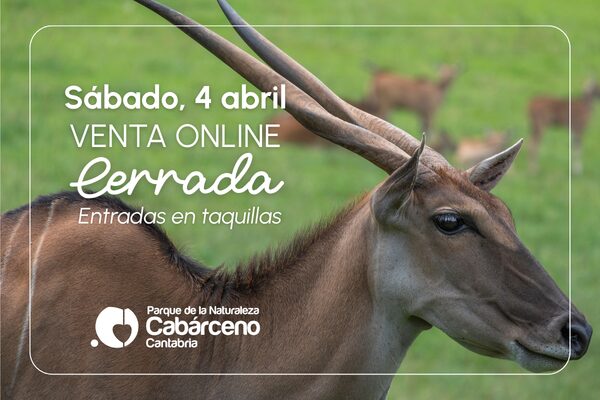 Cerrada la venta online de entradas de Cabárceno para el sábado 4 de abril