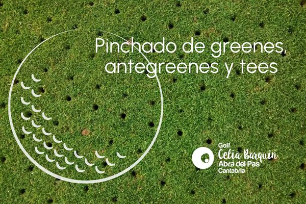 Pinchado de greenes 2026